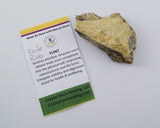 Knife River Flint Pocket Stone