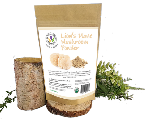 Lion's Mane Mushroom Powder 1oz Organic