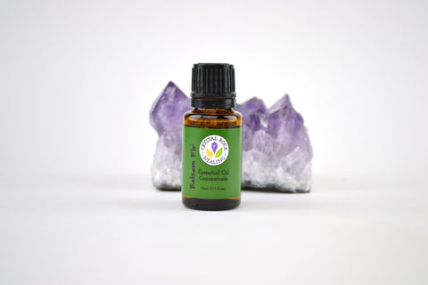 Balsam Fir Essential Oil Concentrate