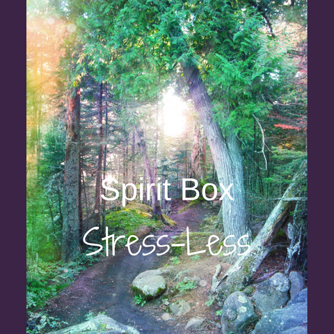 Past Spirit Box™ - Stress Less