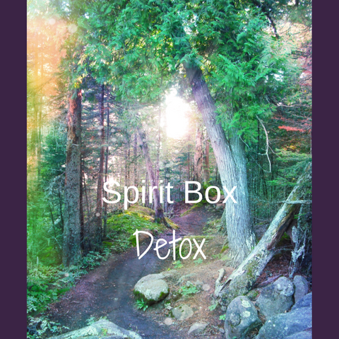 Past Spirit Box™- Detox