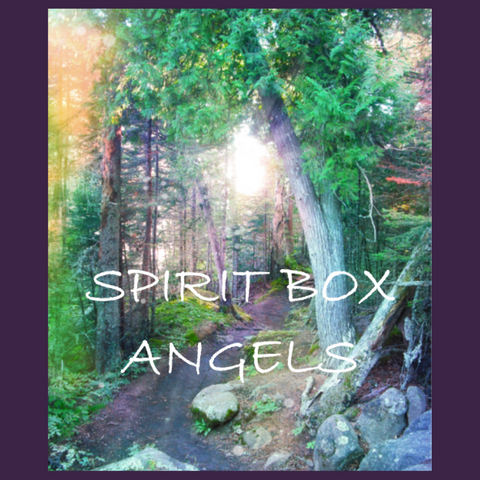 Past Spirit Box™ - Angels