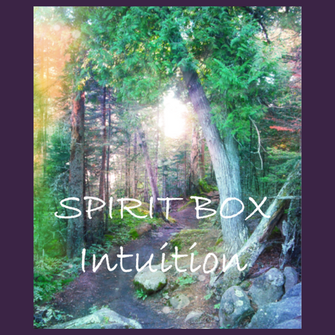 Past Spirit Box™ - Intuition