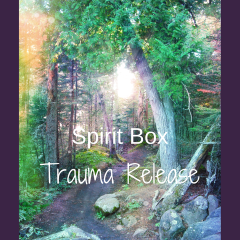 Past Spirit Box™ - Trauma Release